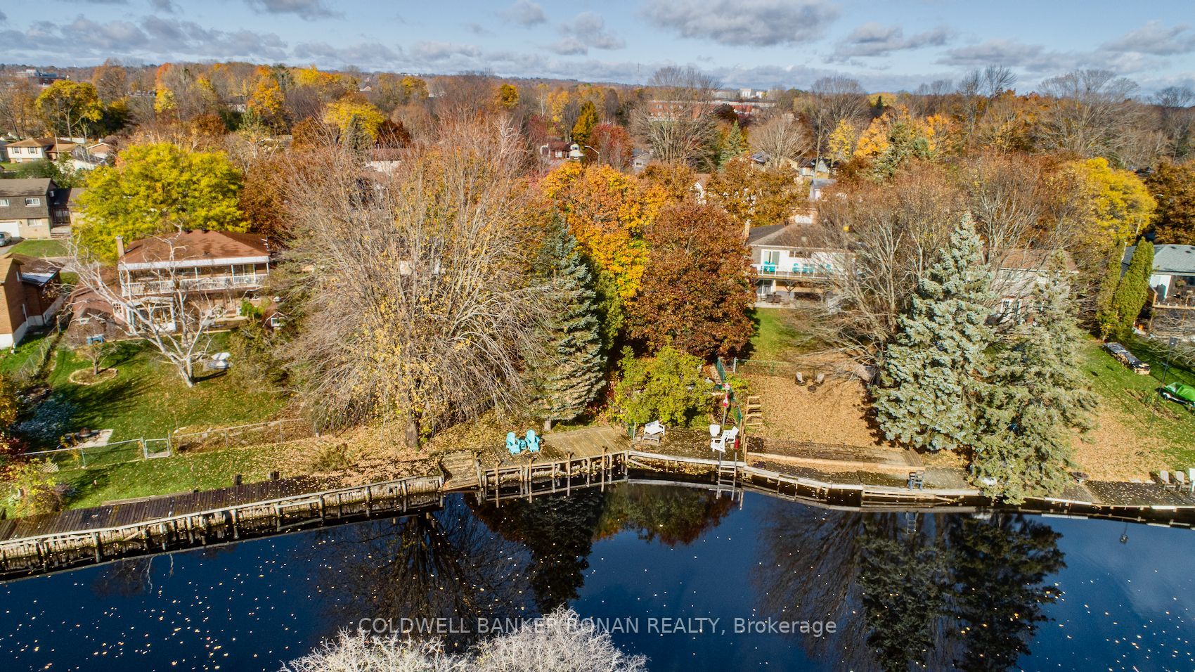 43 Lankin Blvd
