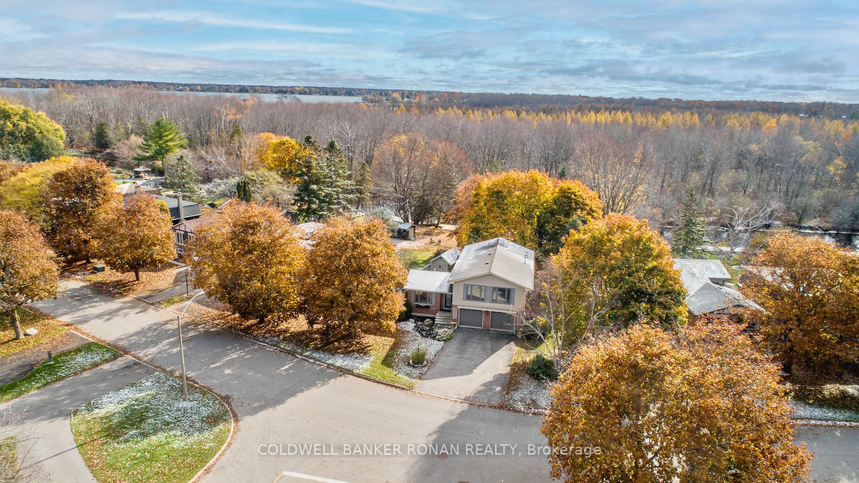43 Lankin Blvd