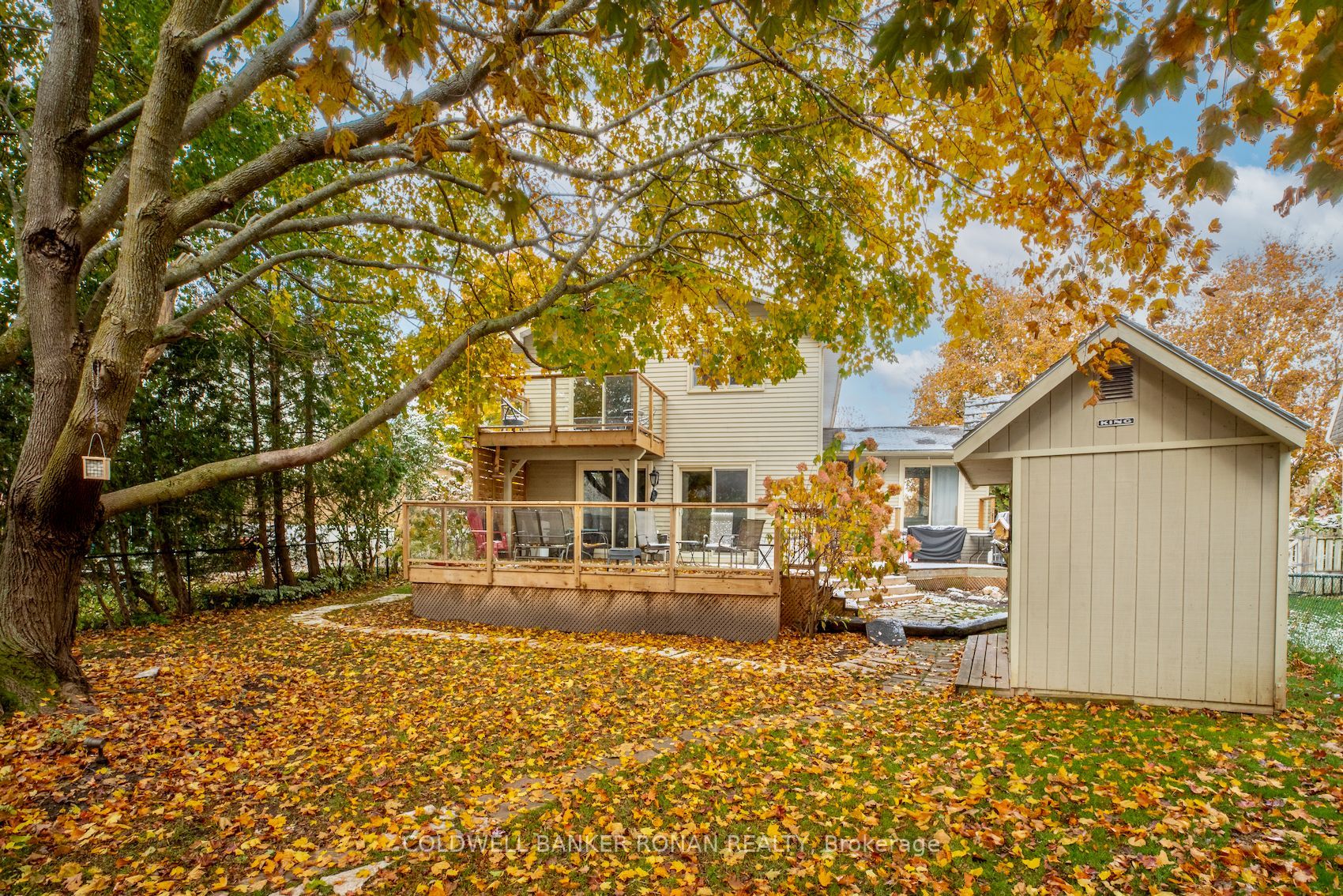 43 Lankin Blvd