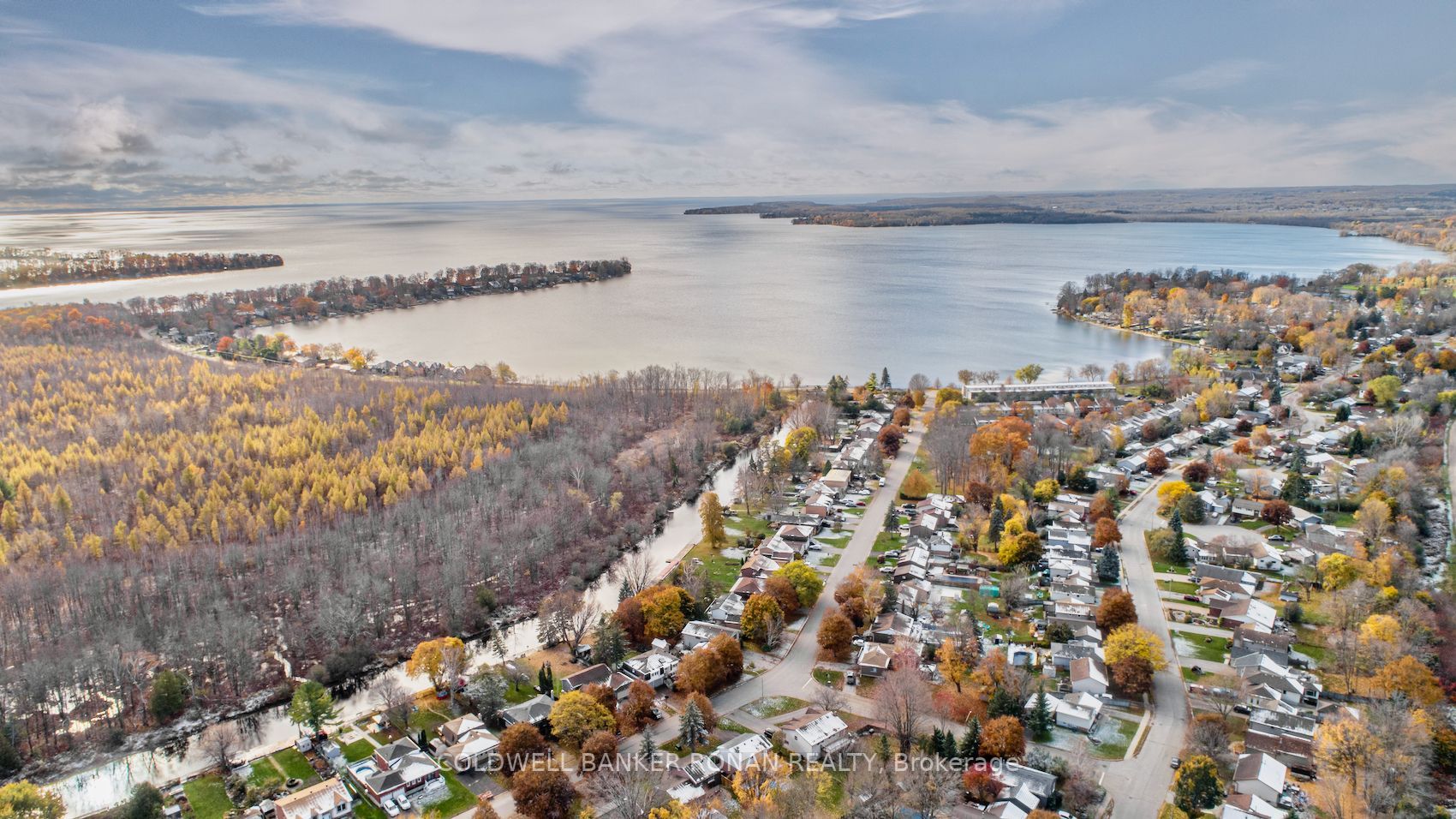 43 Lankin Blvd