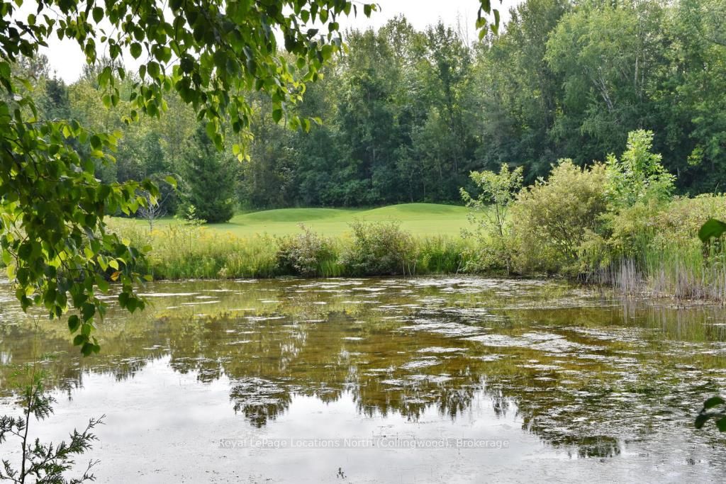 34 Green Briar Dr, #34