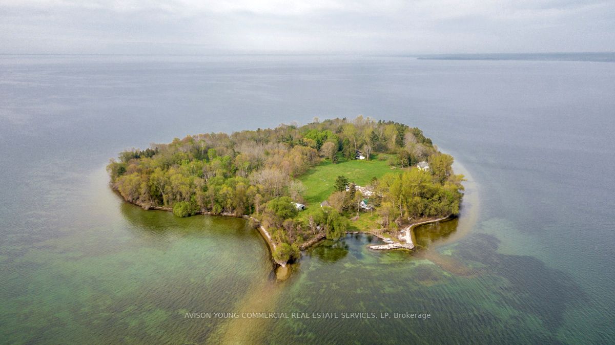 1000 Strawberry Island