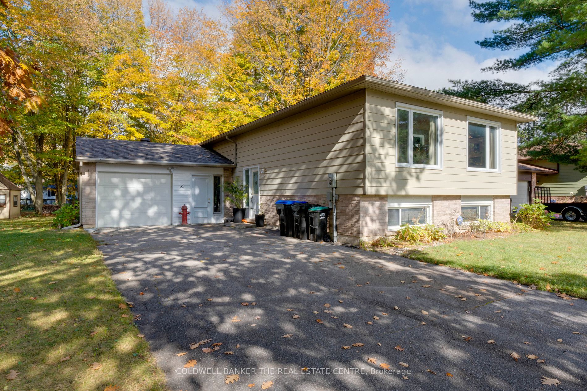 35 Dorcas Ave