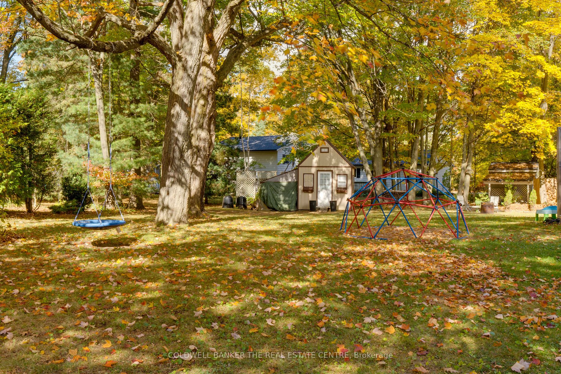 35 Dorcas Ave