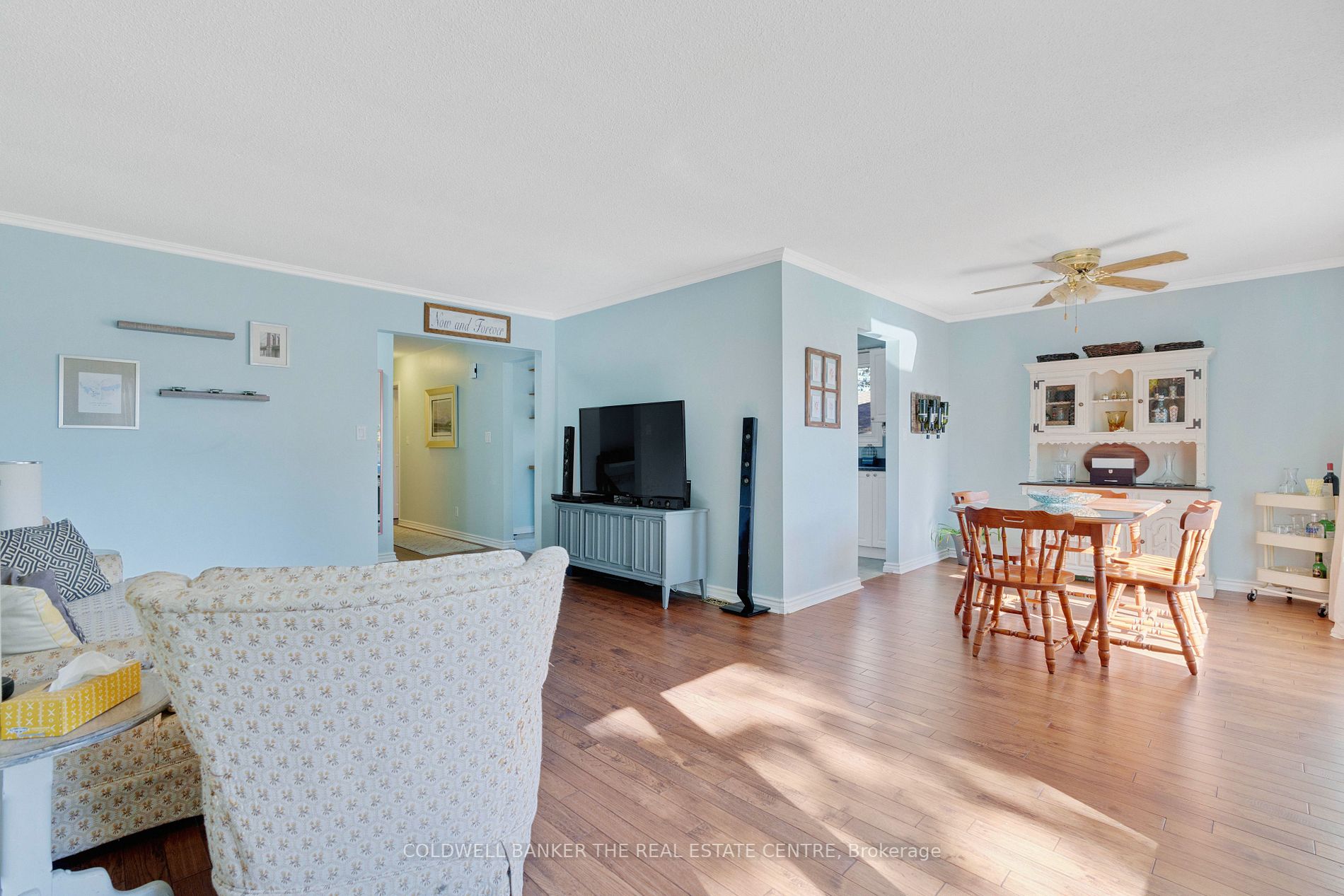 35 Dorcas Ave