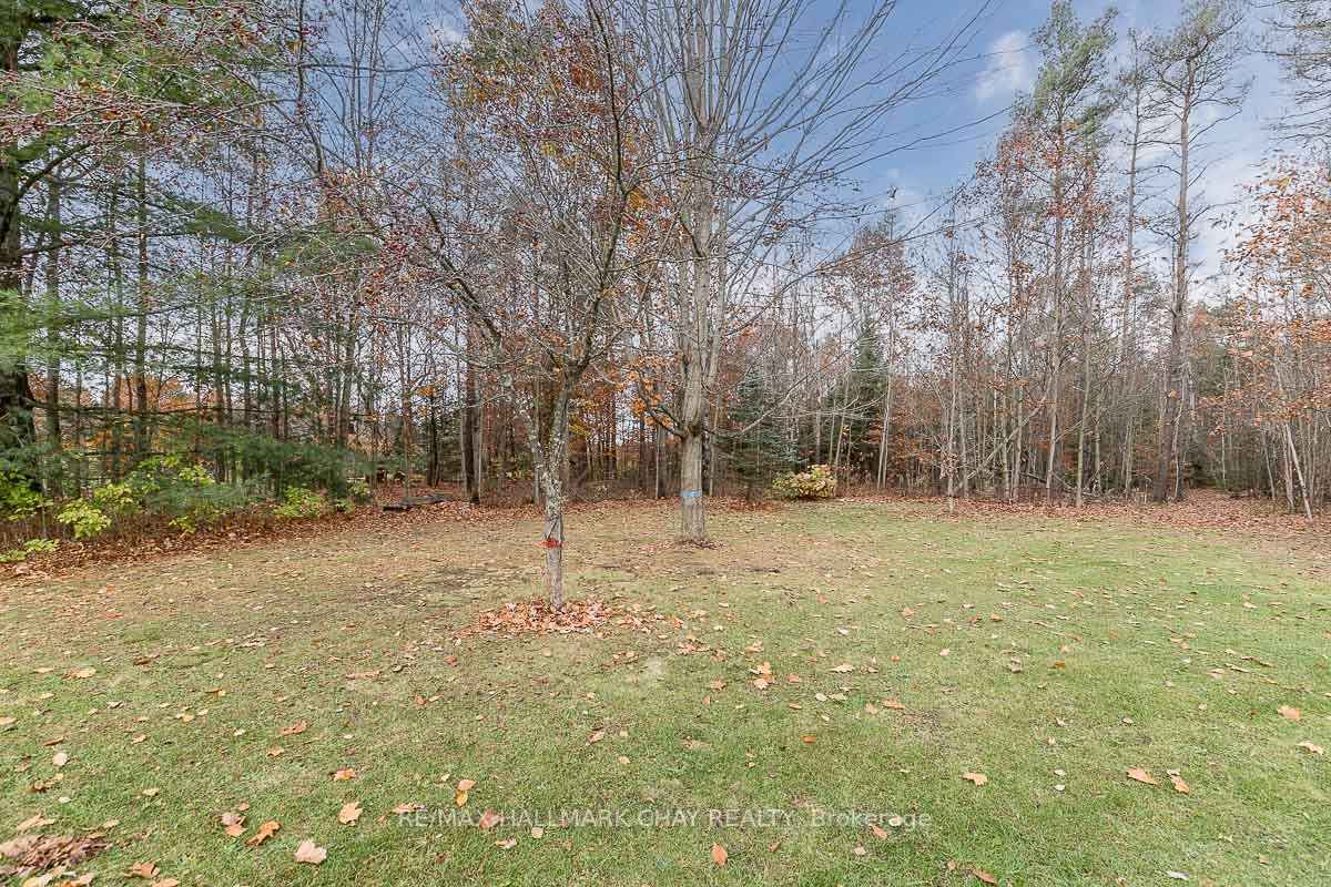 6 Binnie Dr