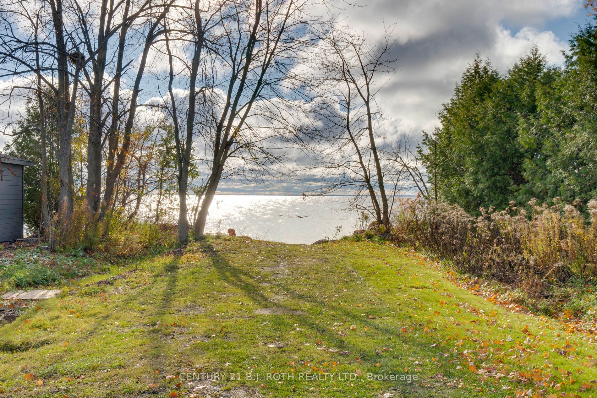 71 Lakeshore Rd E