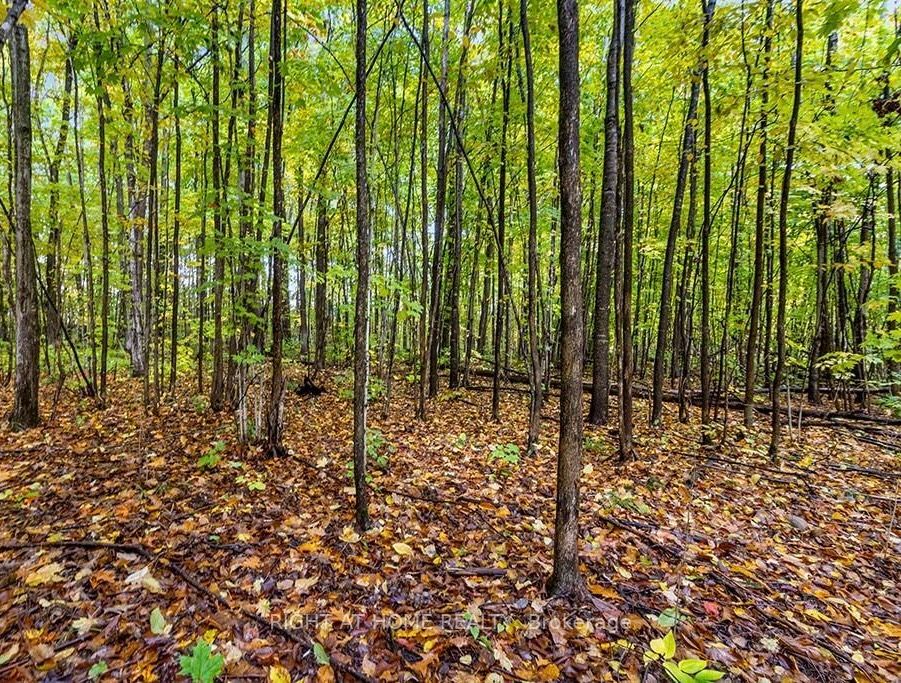 LOT 23 Voyageur Drive
