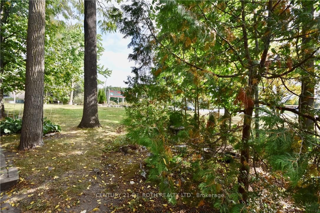 11 Meadow Lane, #1