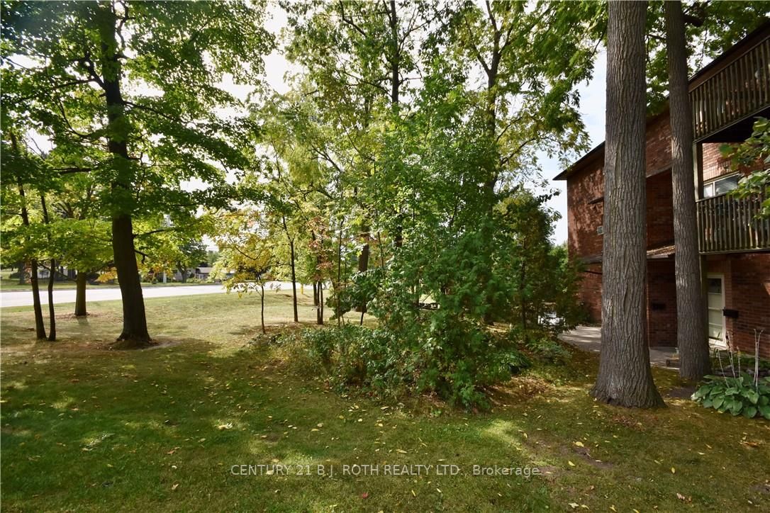 11 Meadow Lane, #1