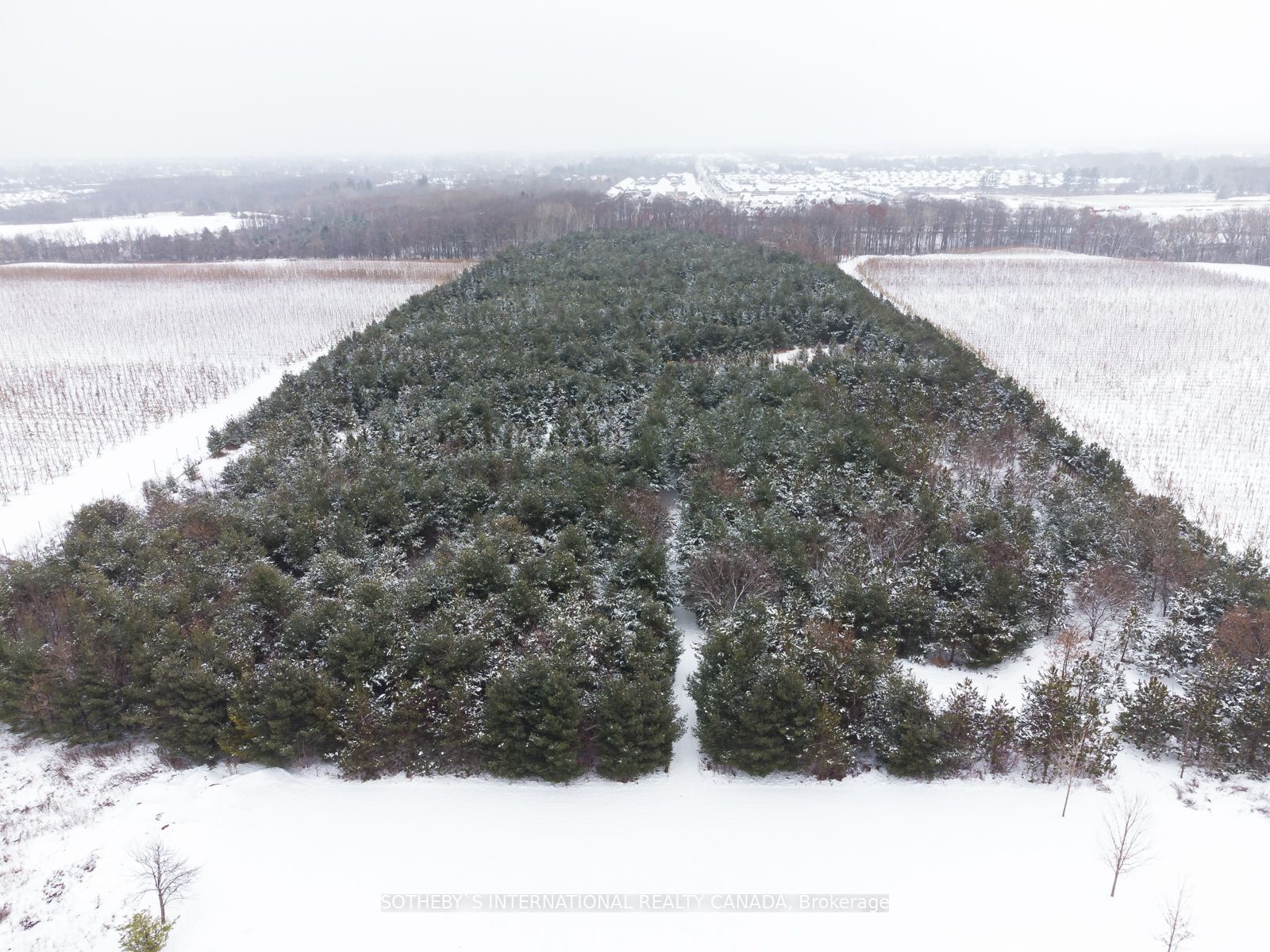 2935 10 Nottawasaga Conc N