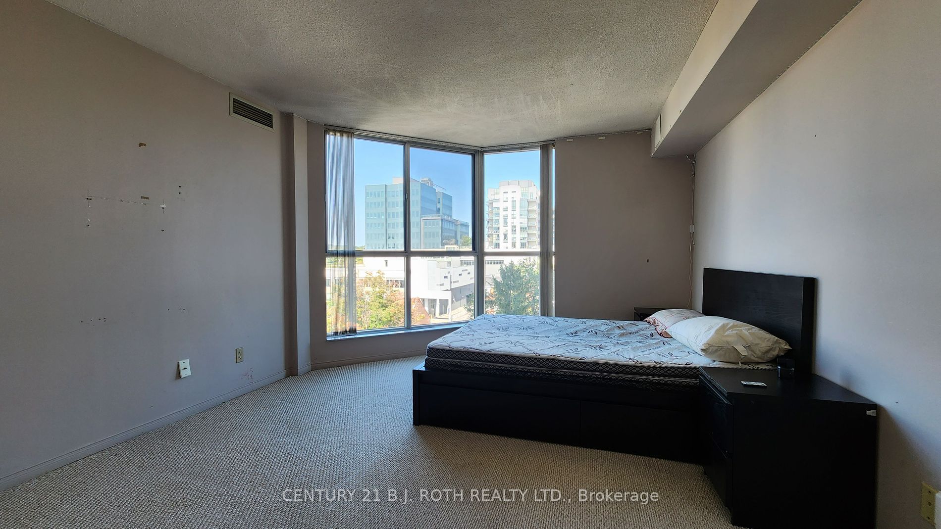 150 Dunlop Street E #902