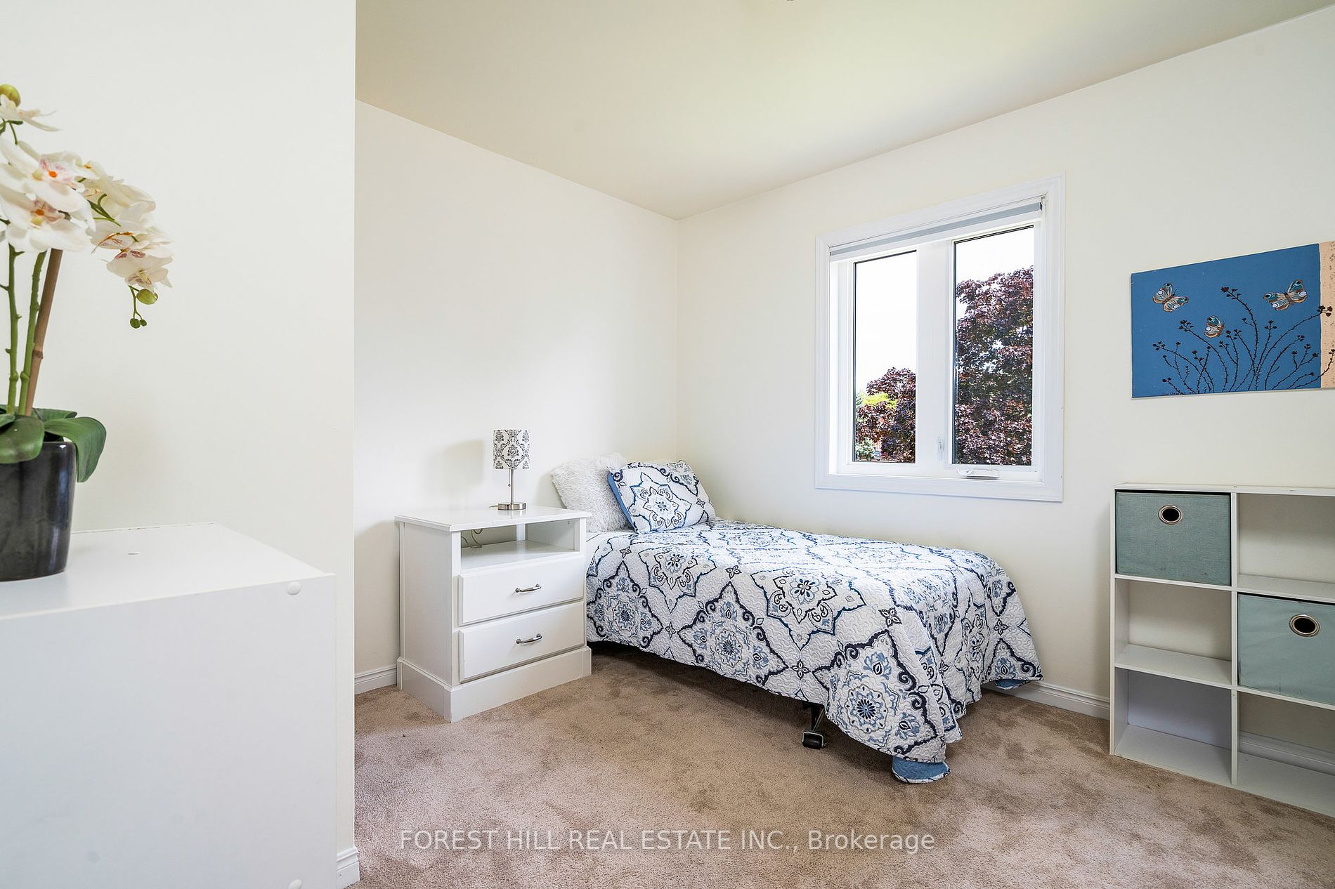 81 Lockhart Rd