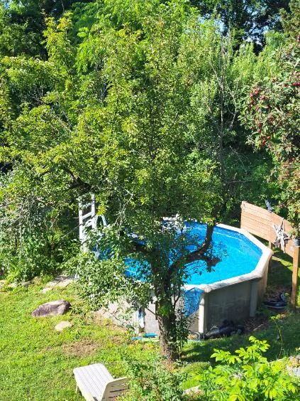 181 Shanty Bay Rd