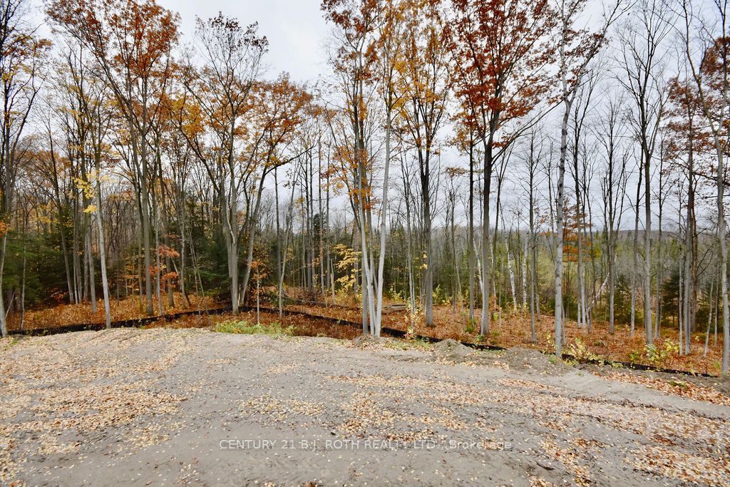 25 Jean Miller Crt