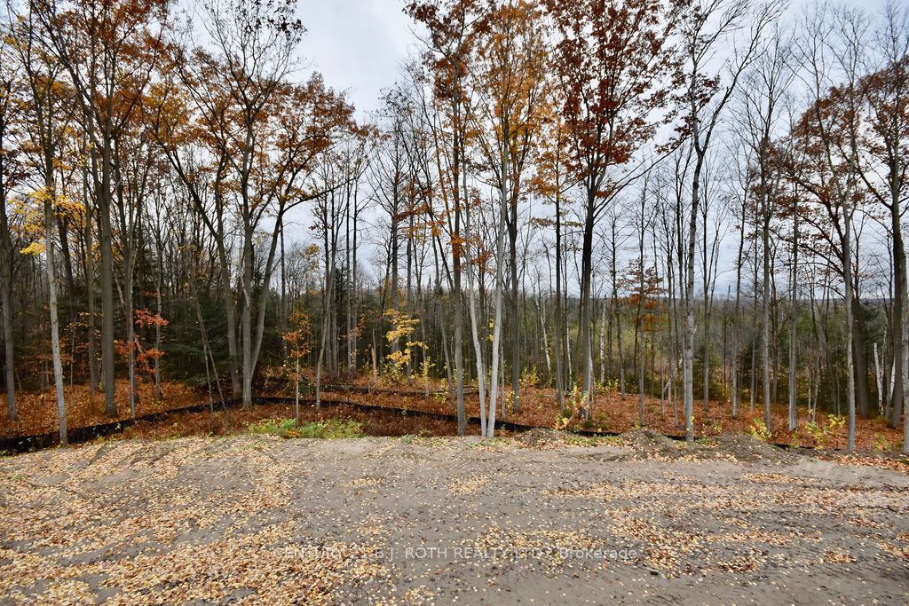 25 Jean Miller Crt