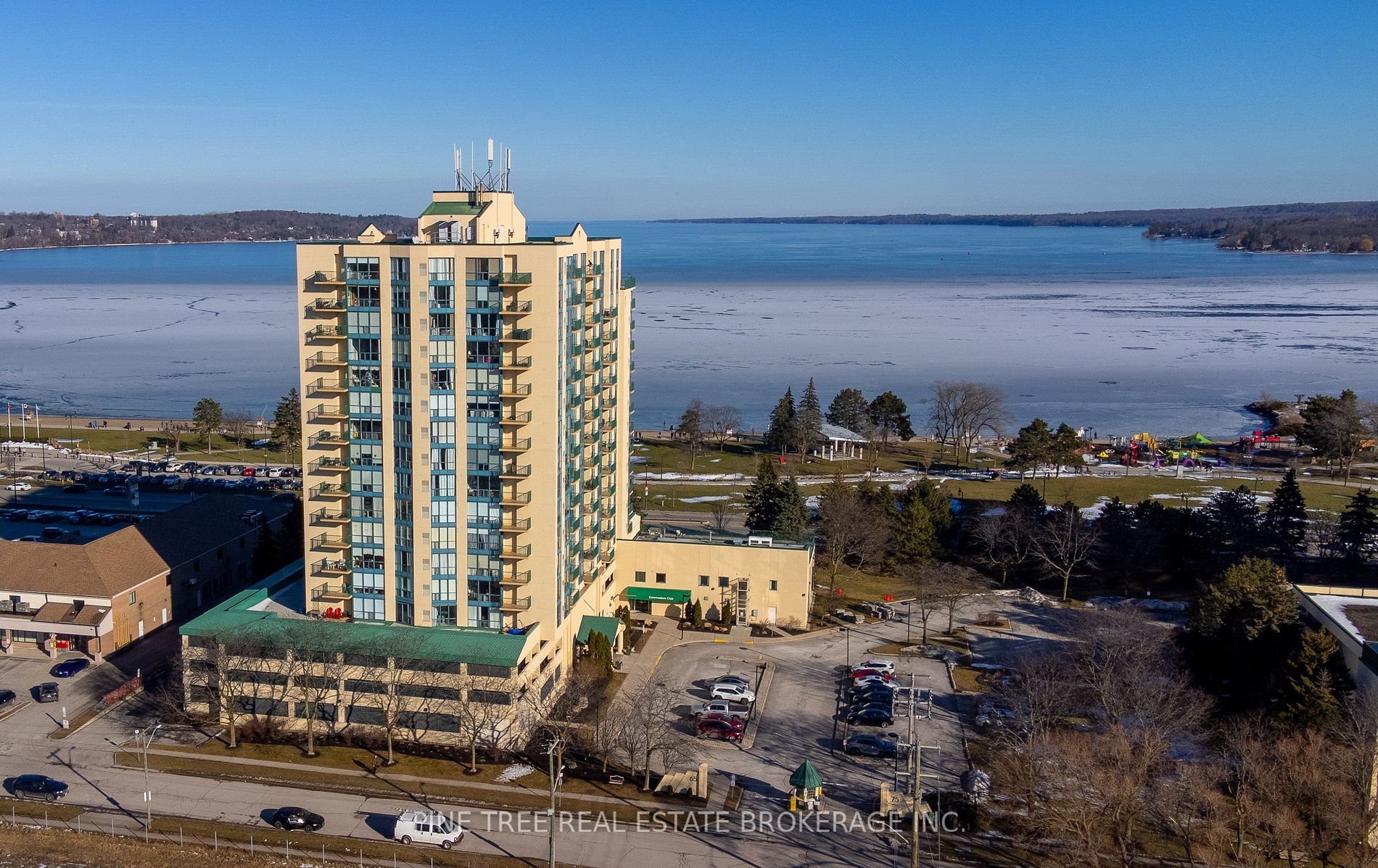 65 Ellen Street, #208