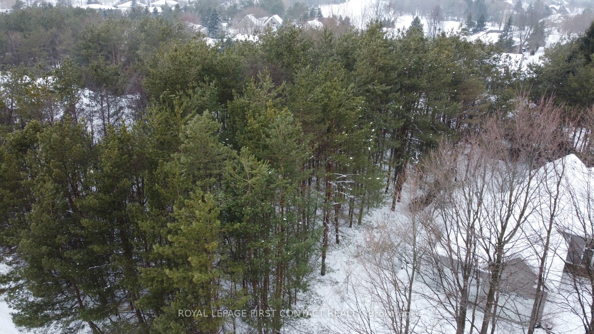 32 Alpine Way