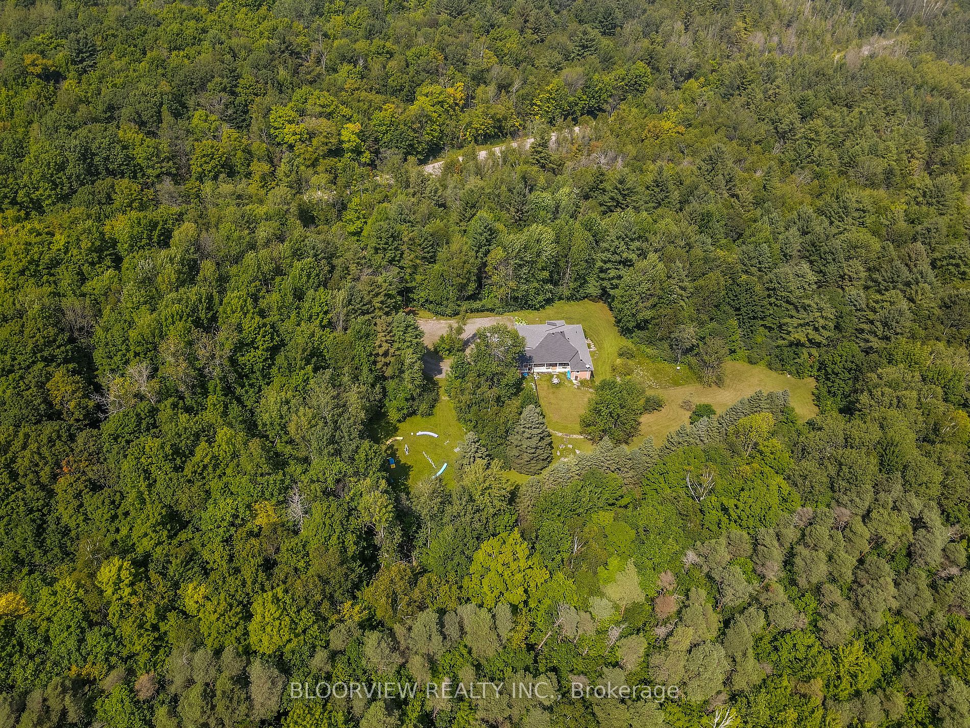 1643 THE ANGELA SCHMIDT F Road