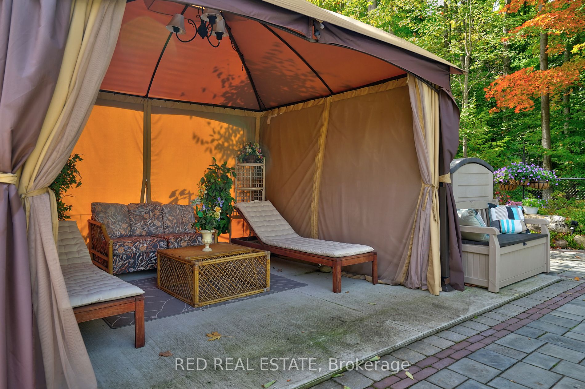 65 BLACK CREEK Trail