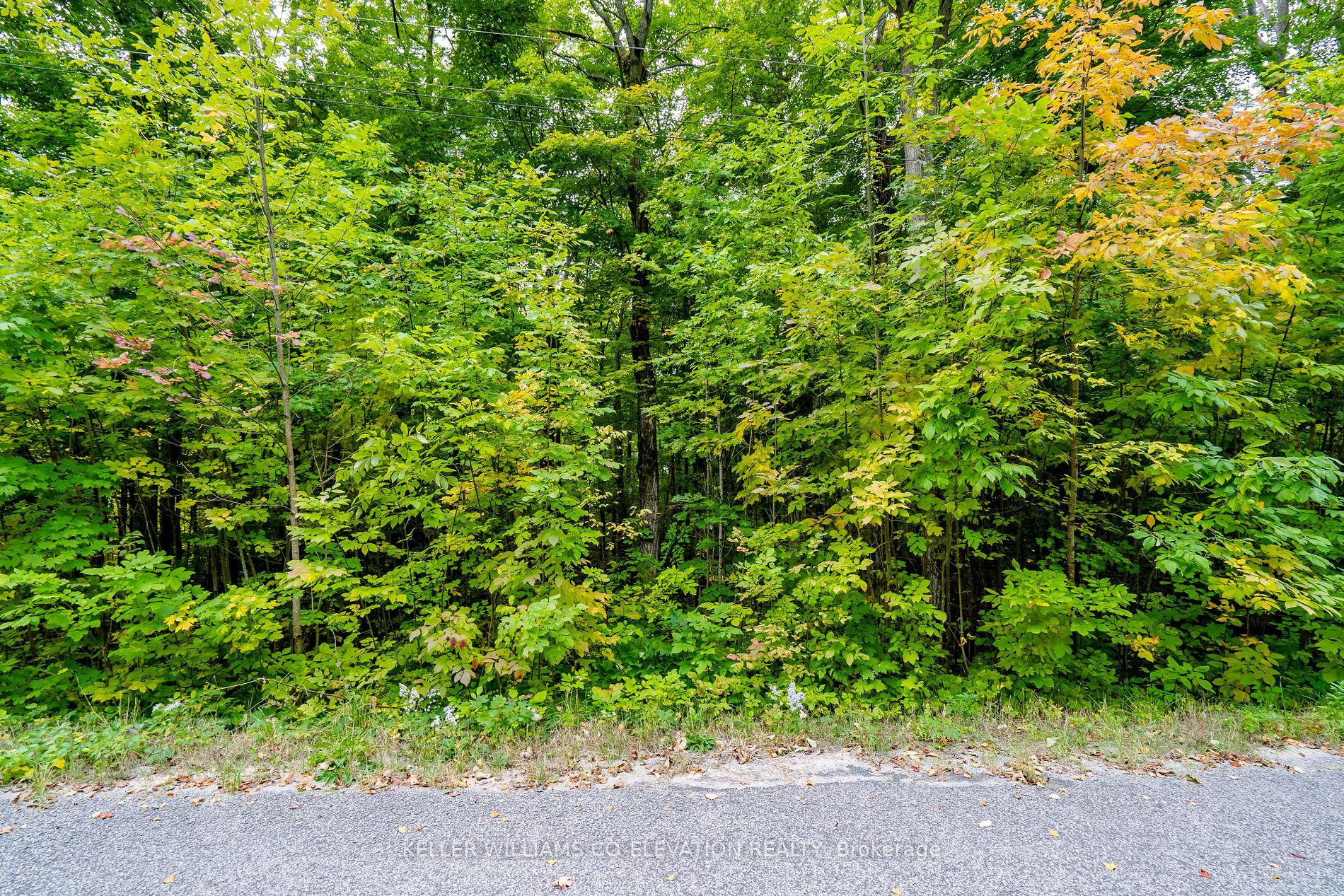 Lot 45 Tiny Beaches Road N