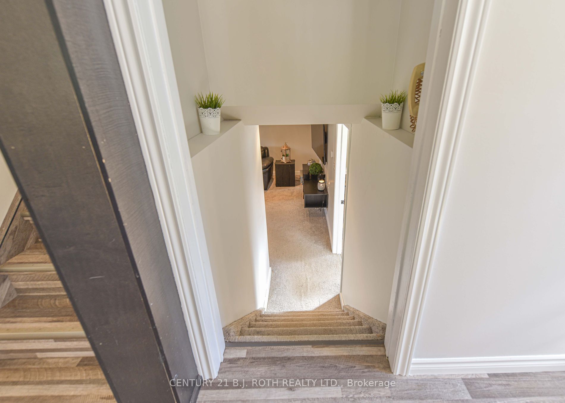 329 Collins Dr