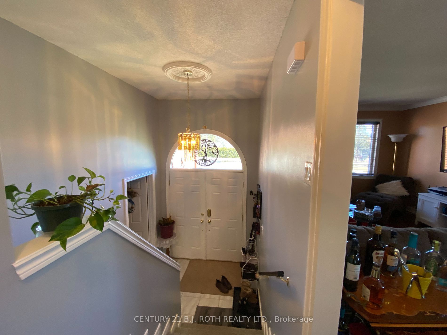 4 Campbell Avenue