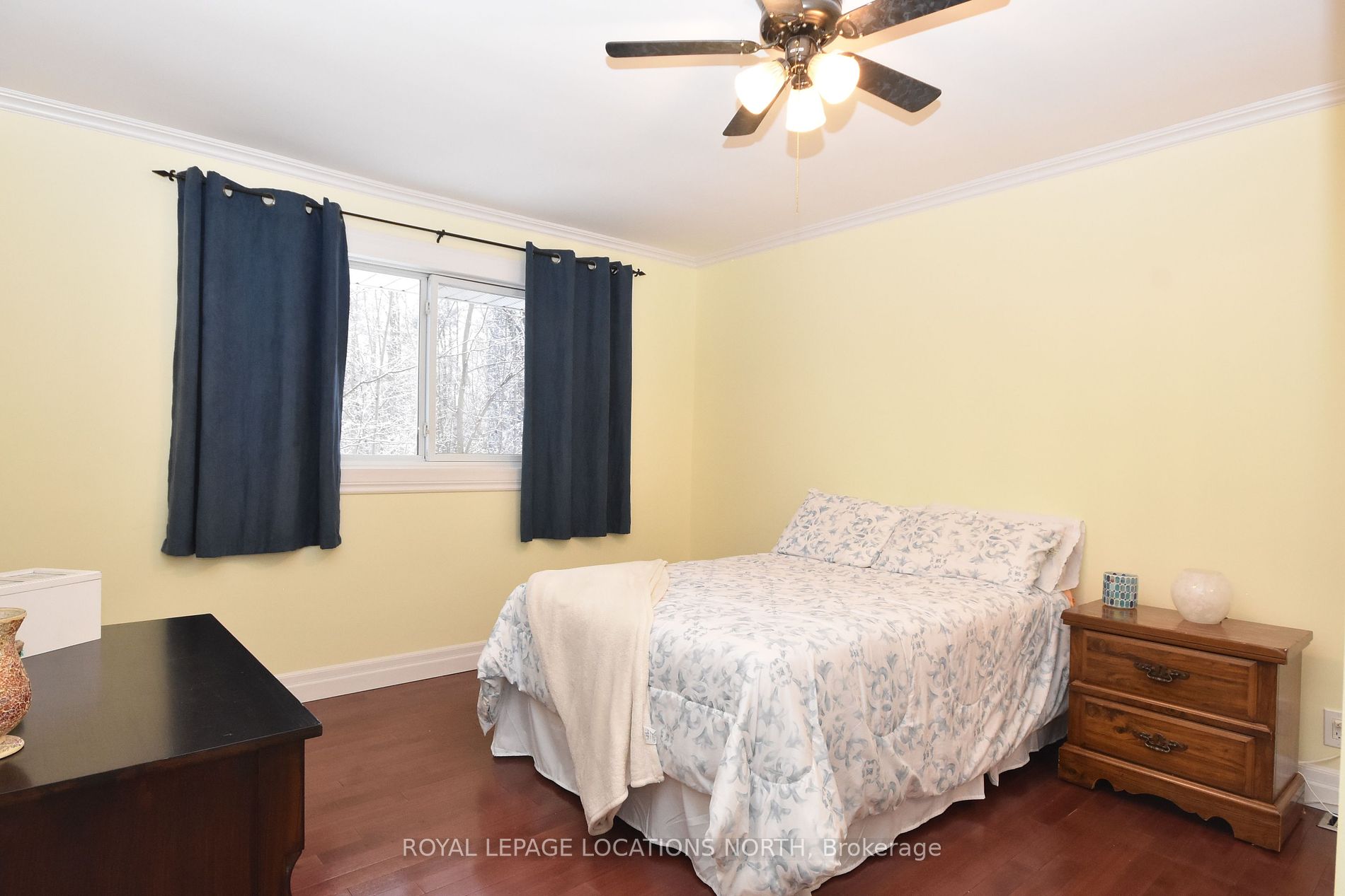 20 Wyant Road