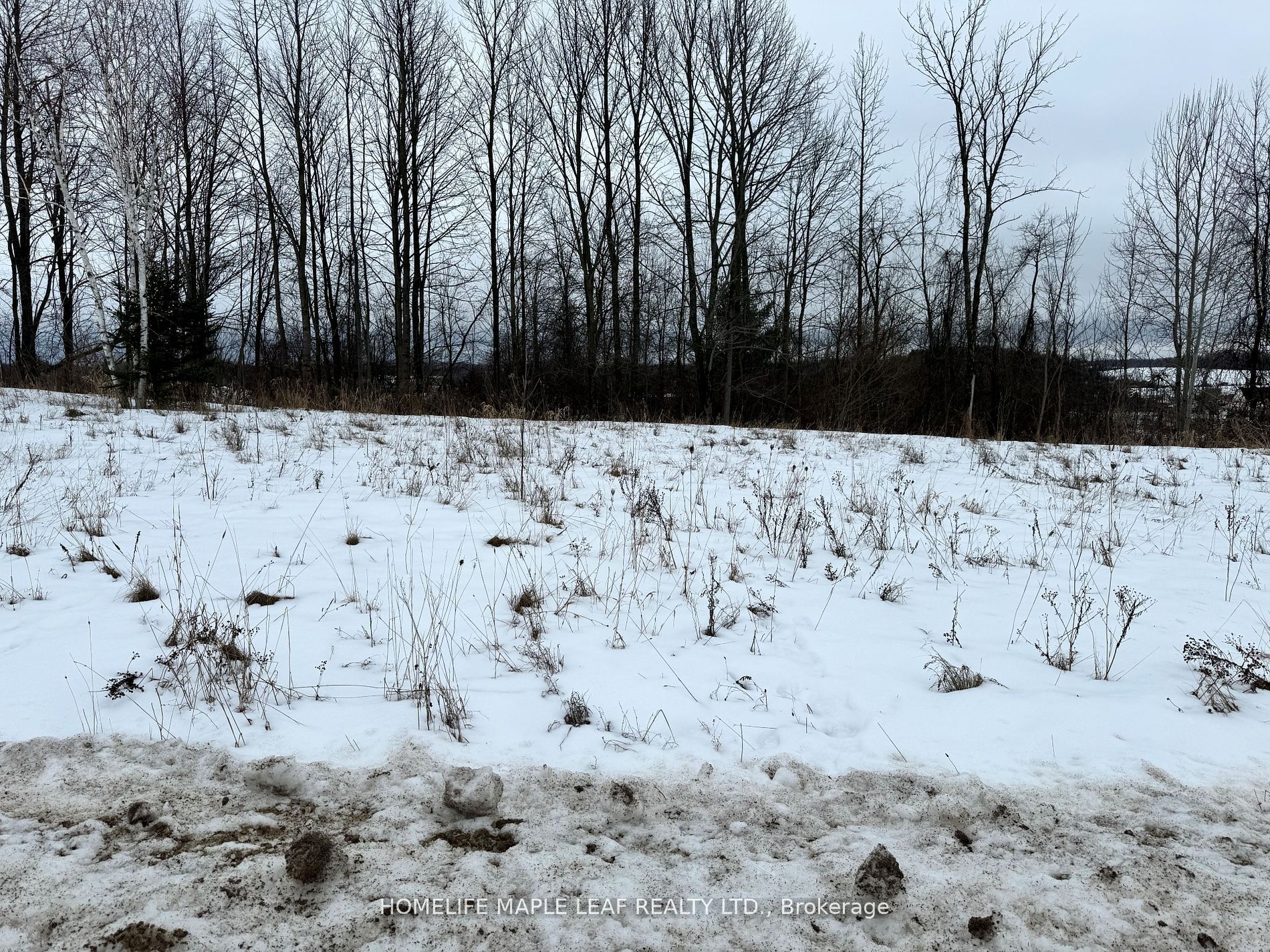 9 Caldwell Dr