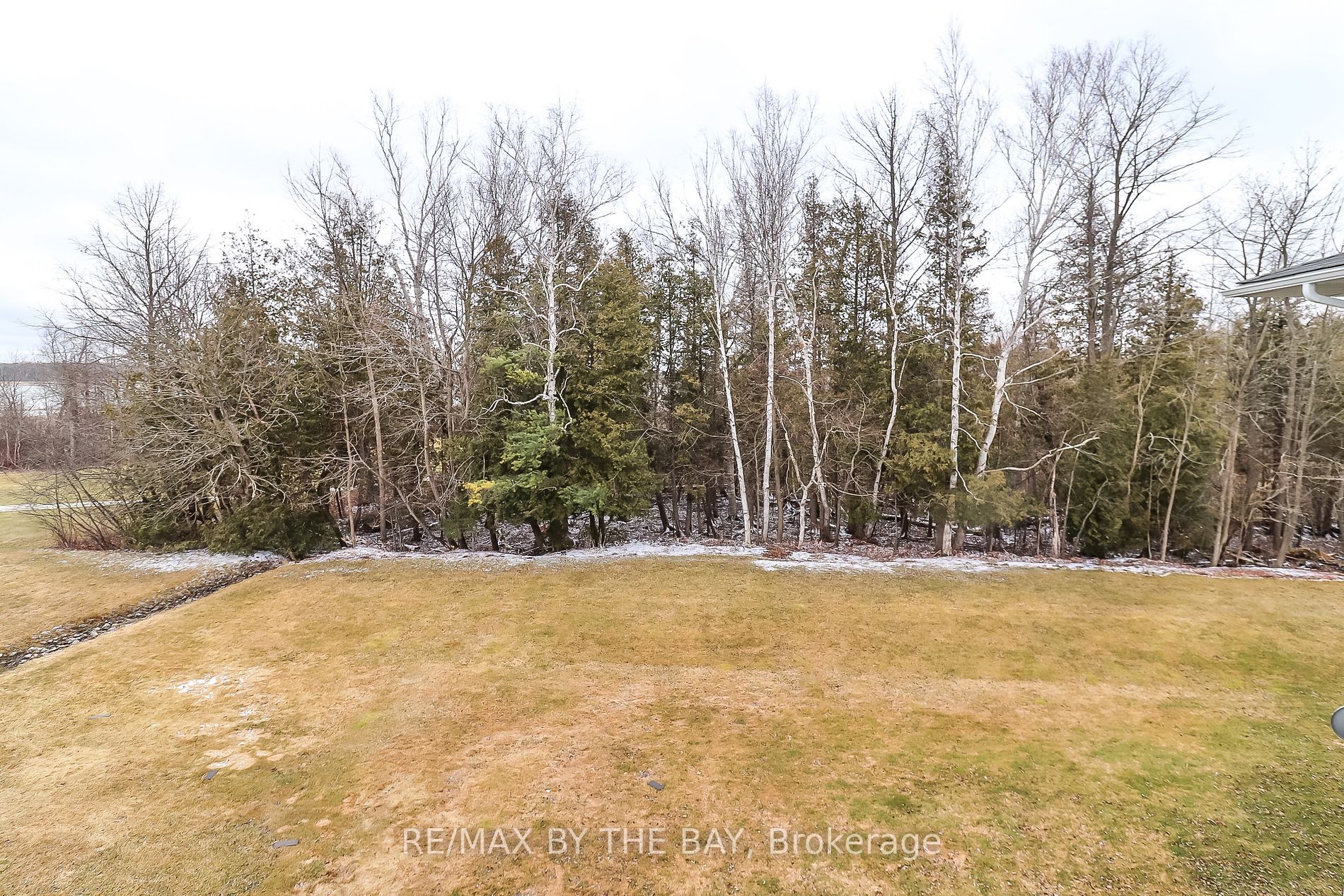 10 Mulligan Lane, #3