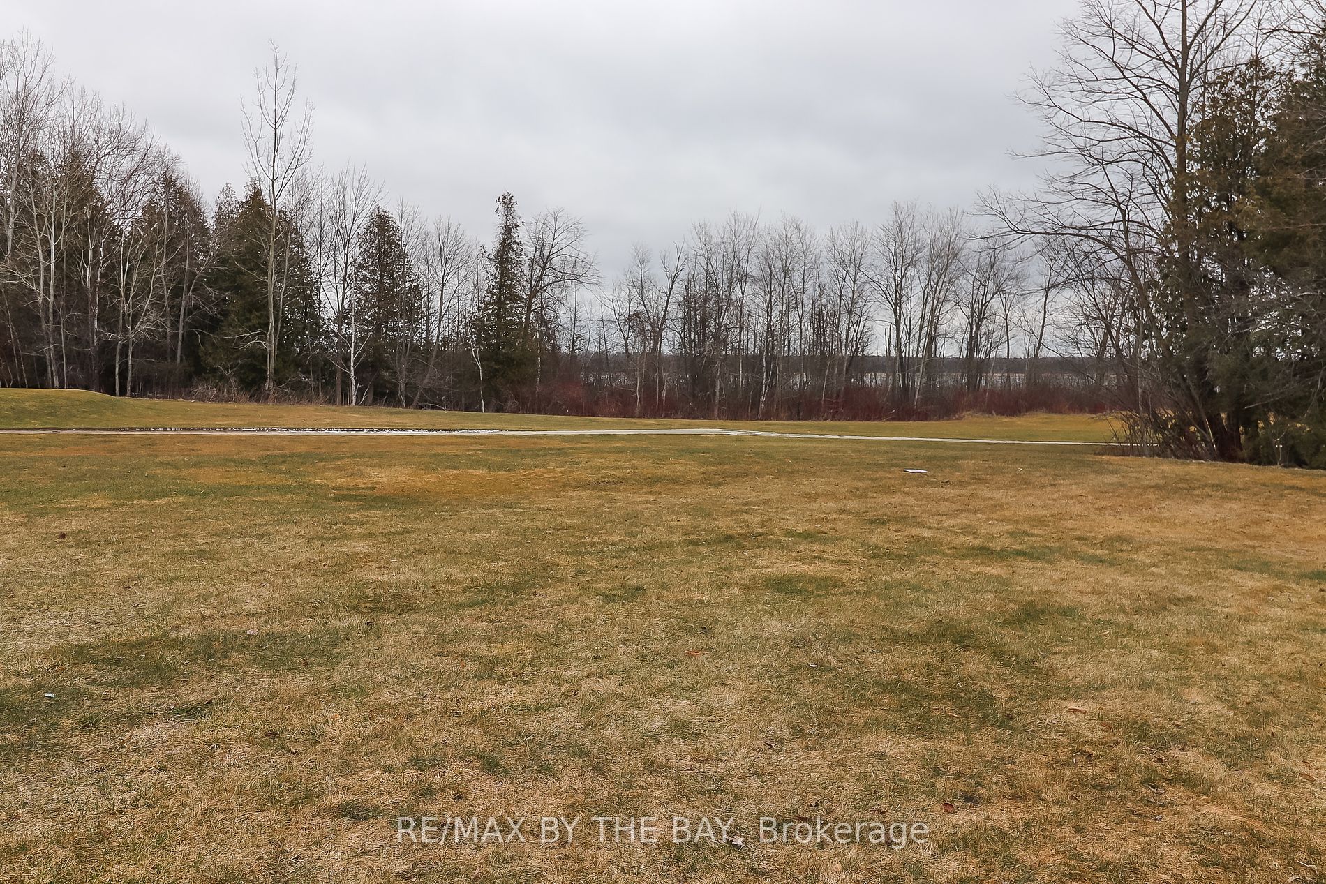 10 Mulligan Lane, #3