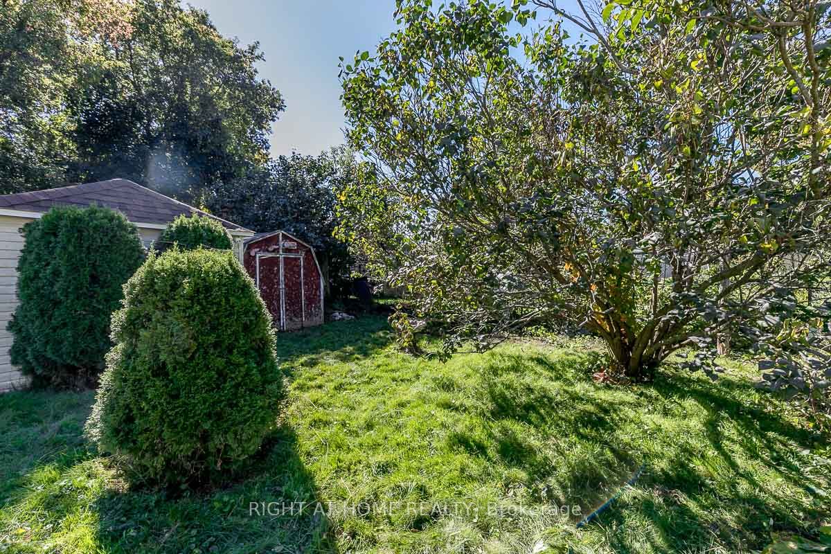 75 Mckenzie St, #Lower