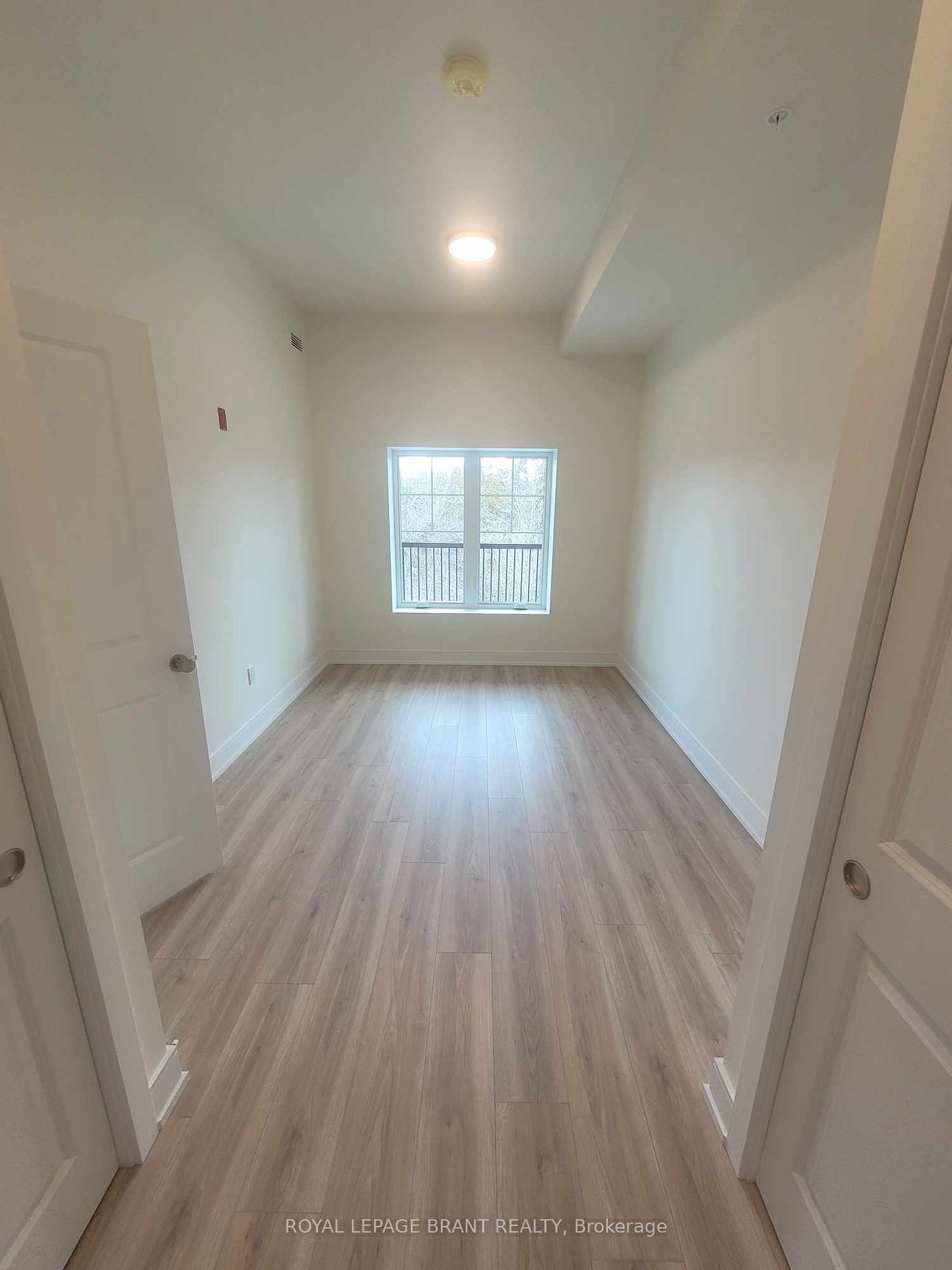 121 Mary Street #316
