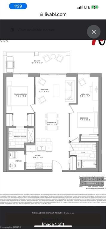 121 Mary Street #316