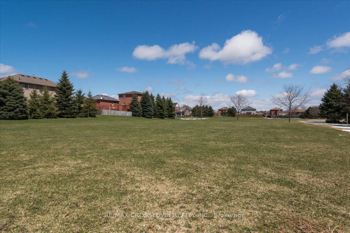 84 Hodgson Drive
