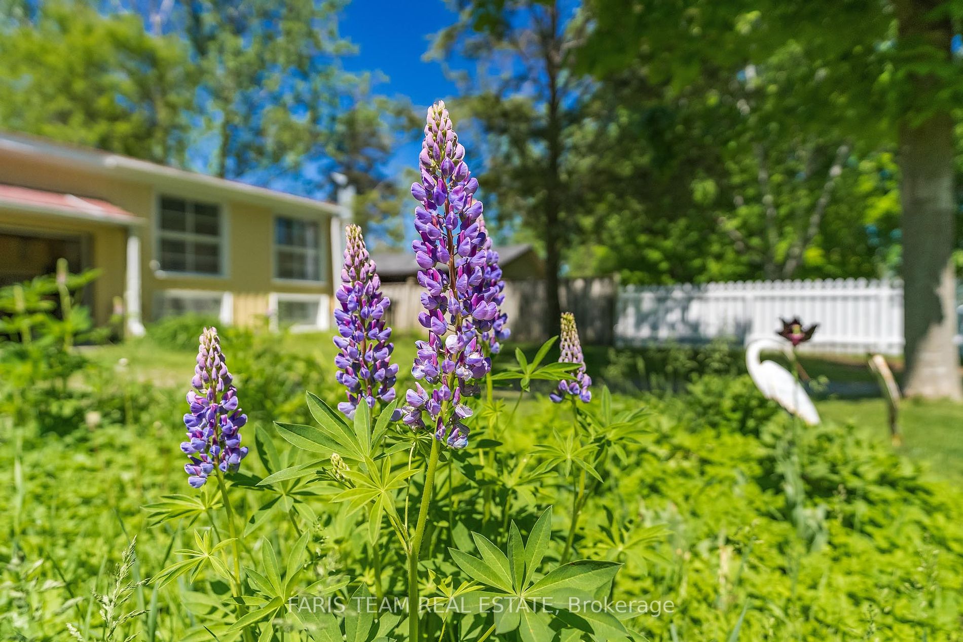 3418 Penetanguishene Rd