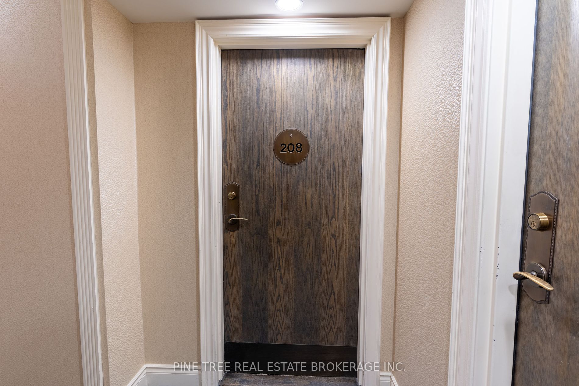 65 Ellen Street, #208
