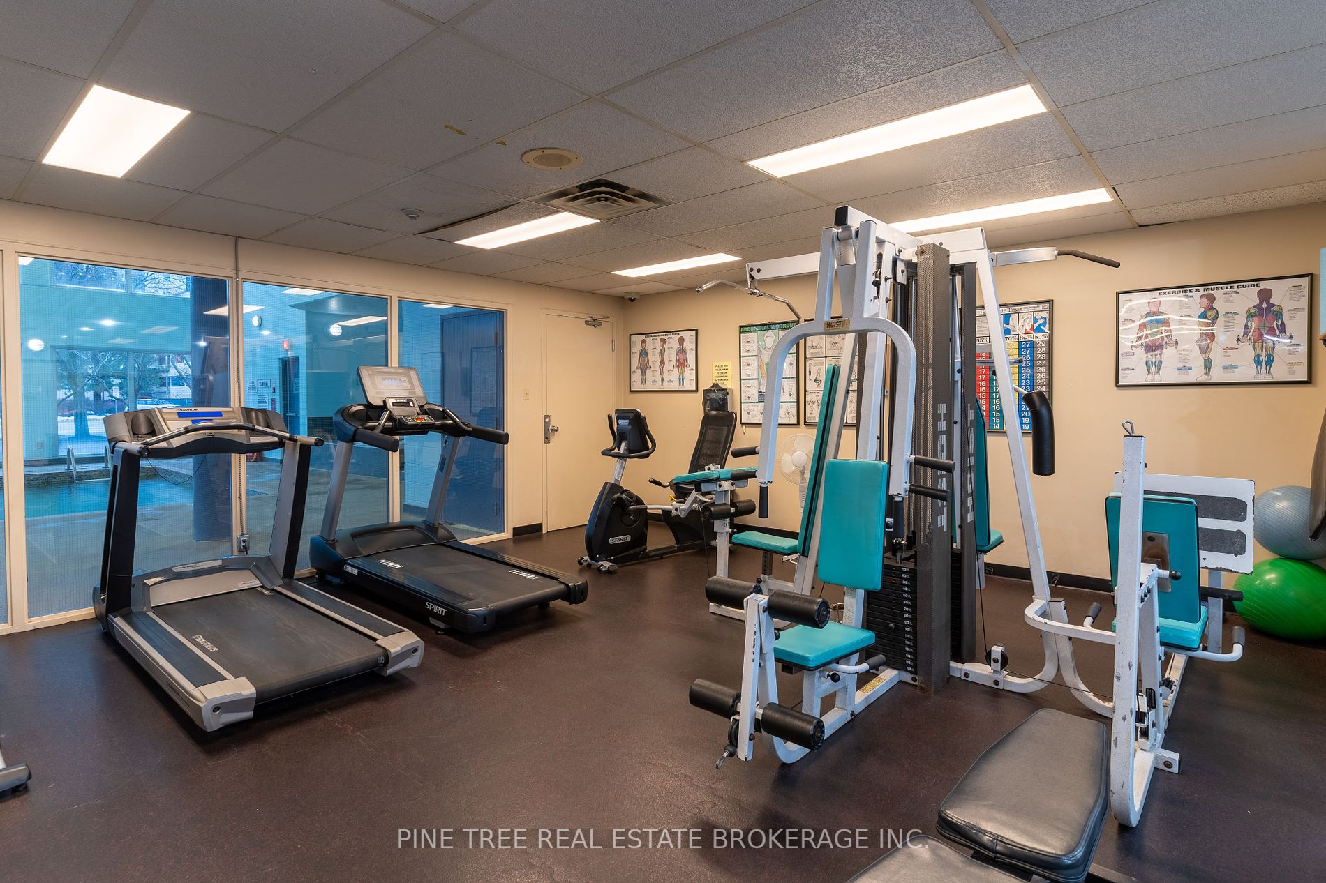 65 Ellen Street, #208