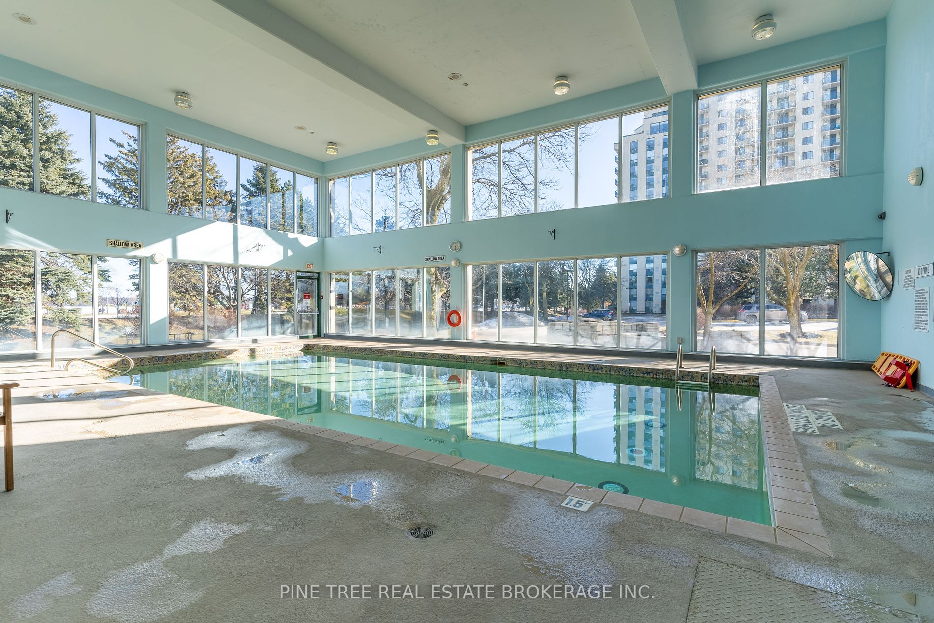 65 Ellen Street, #208