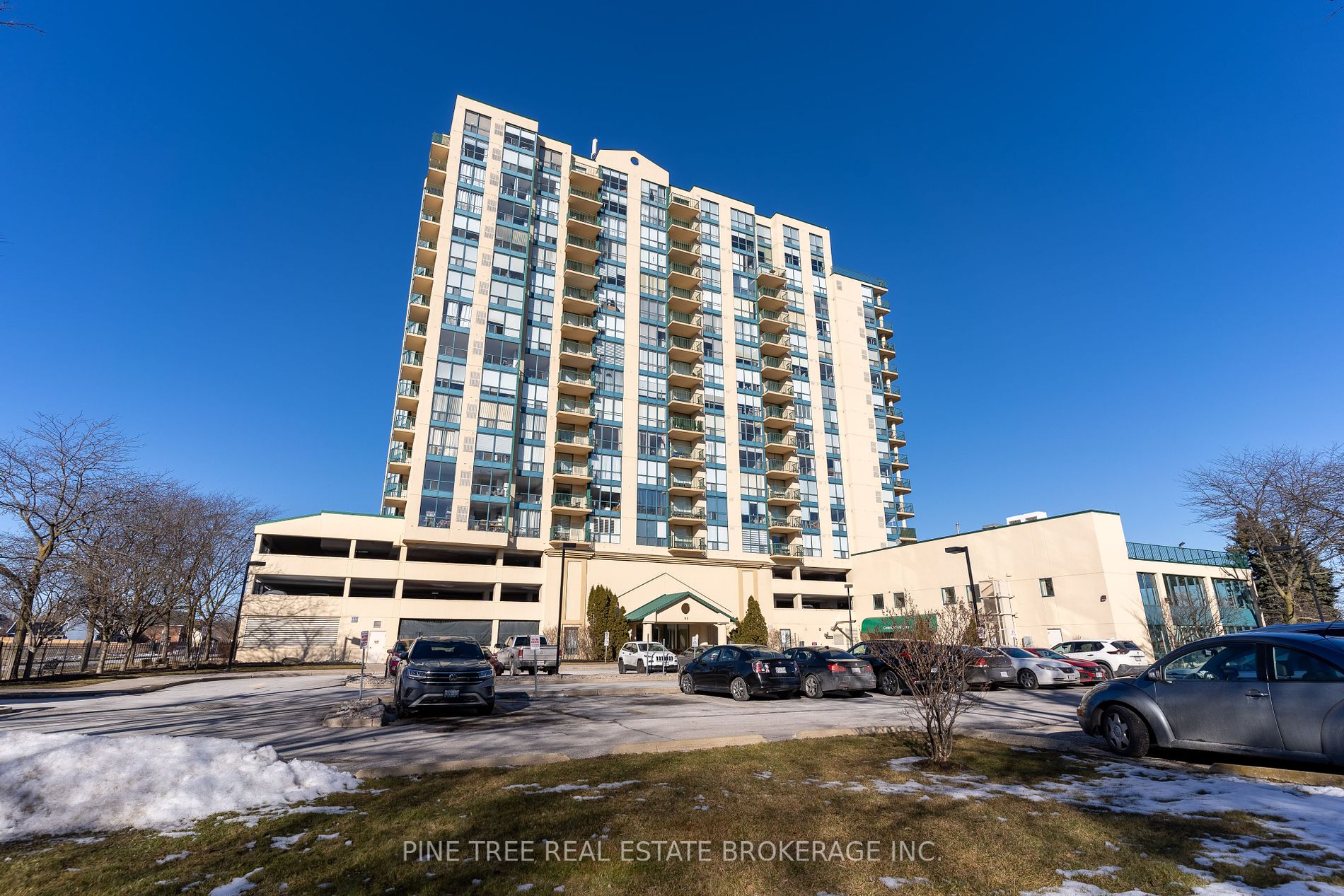 65 Ellen Street, #208