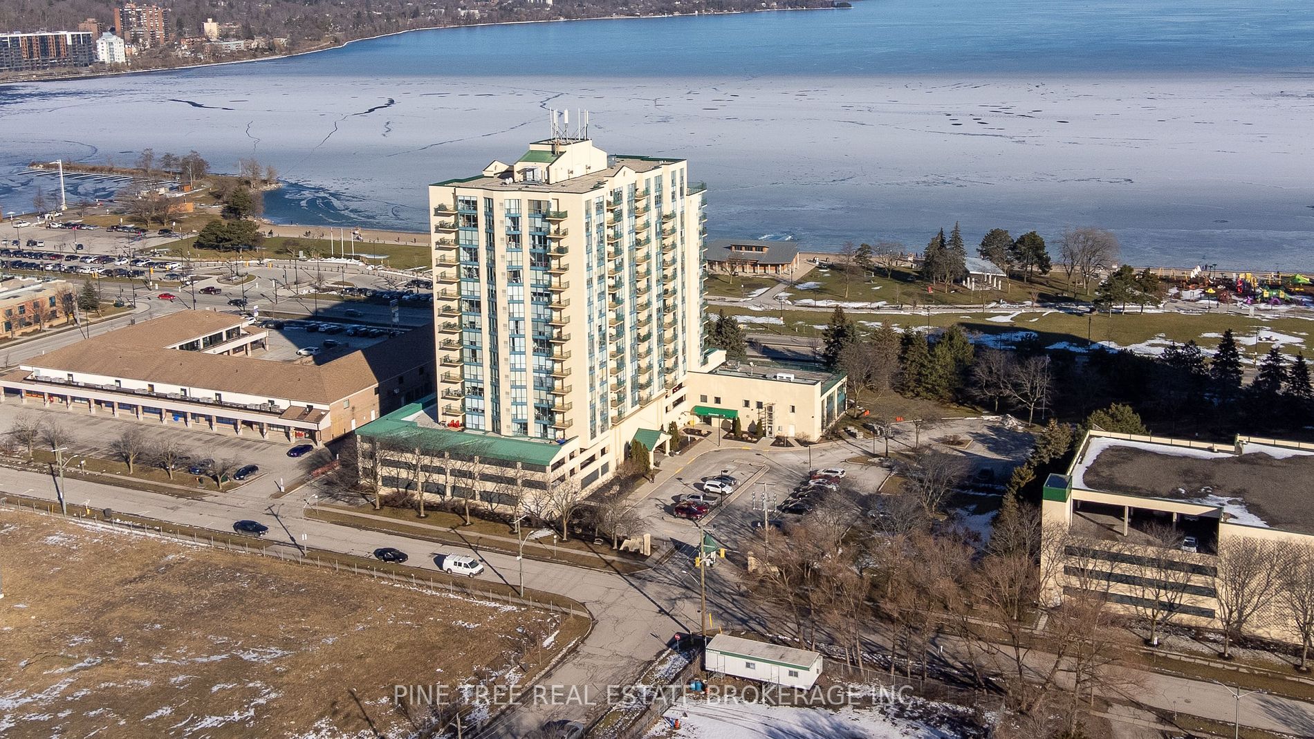 65 Ellen Street, #208