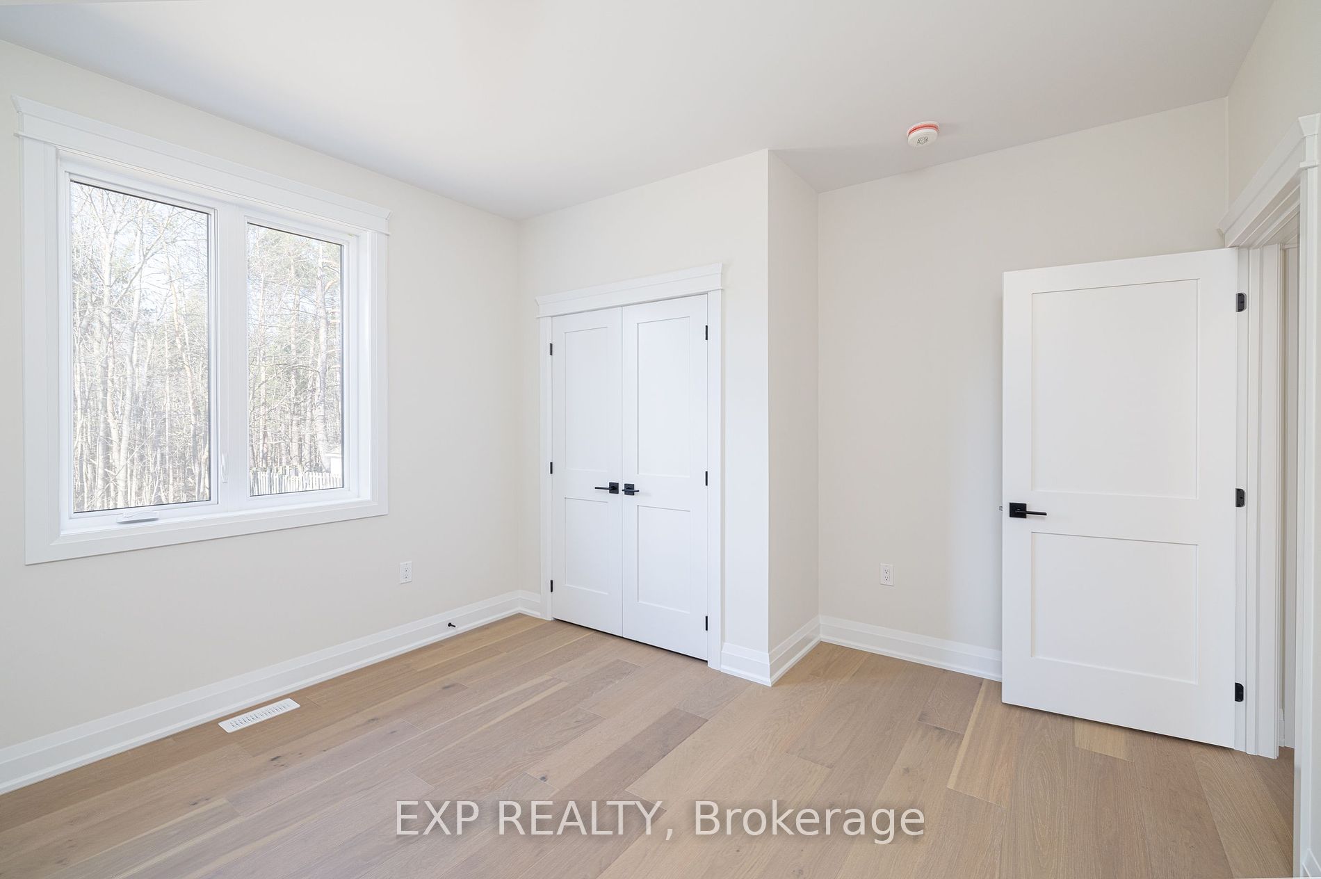 8 Alexander St