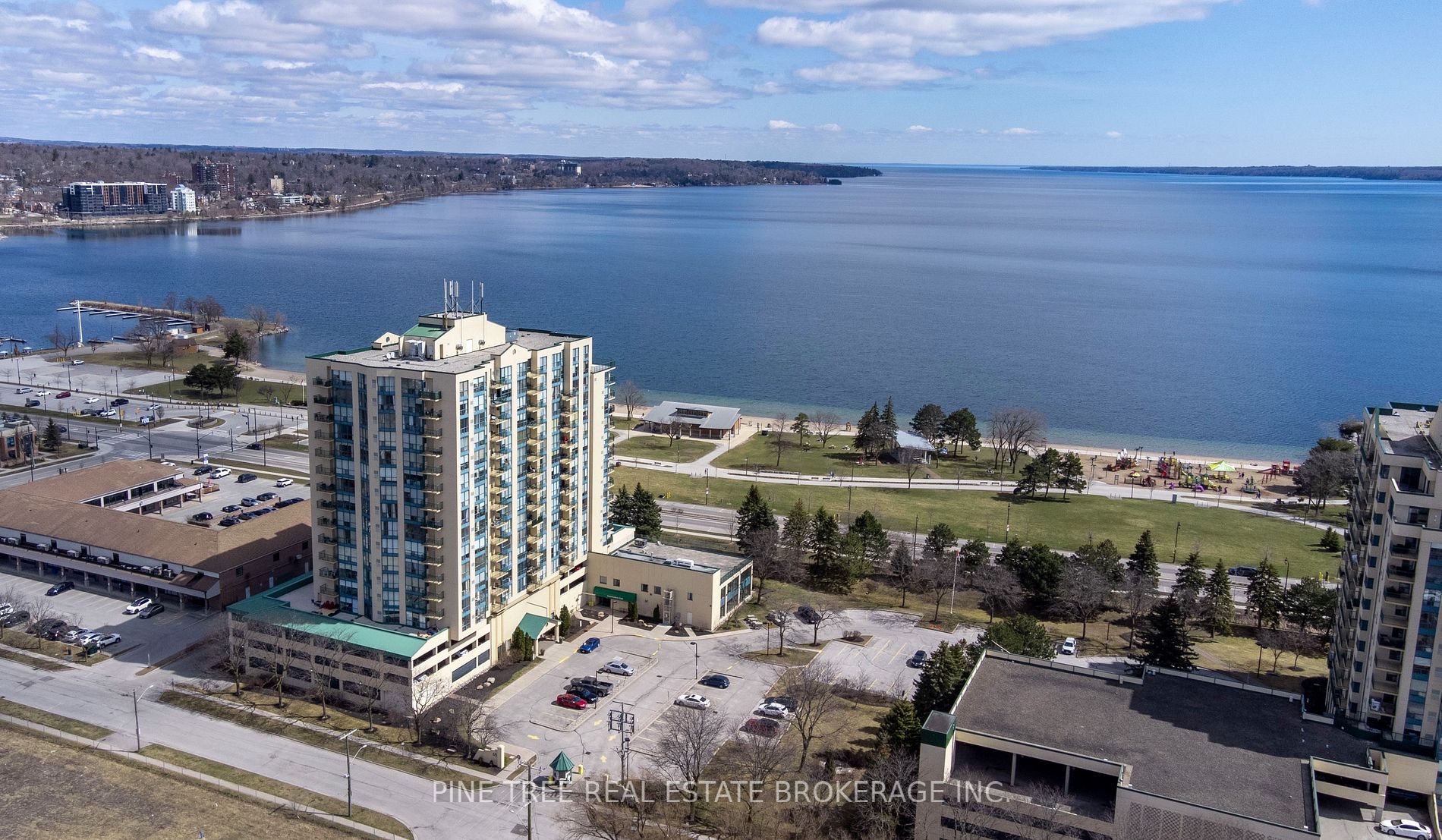 65 Ellen St, #306