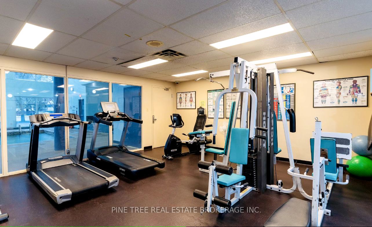 65 Ellen St, #306
