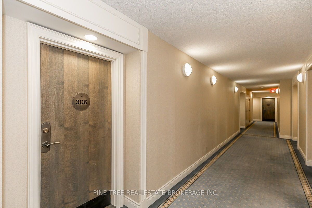 65 Ellen St, #306