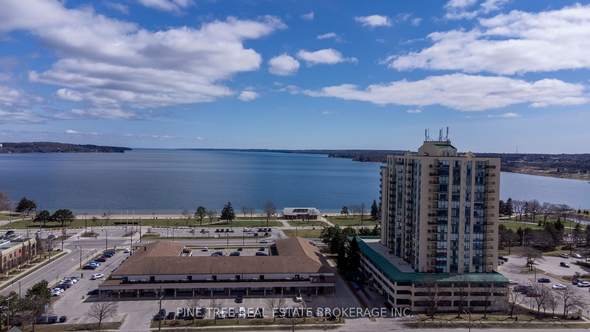 65 Ellen St, #306