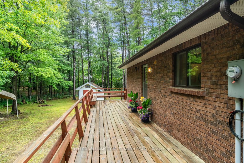 39 Rosemary Road