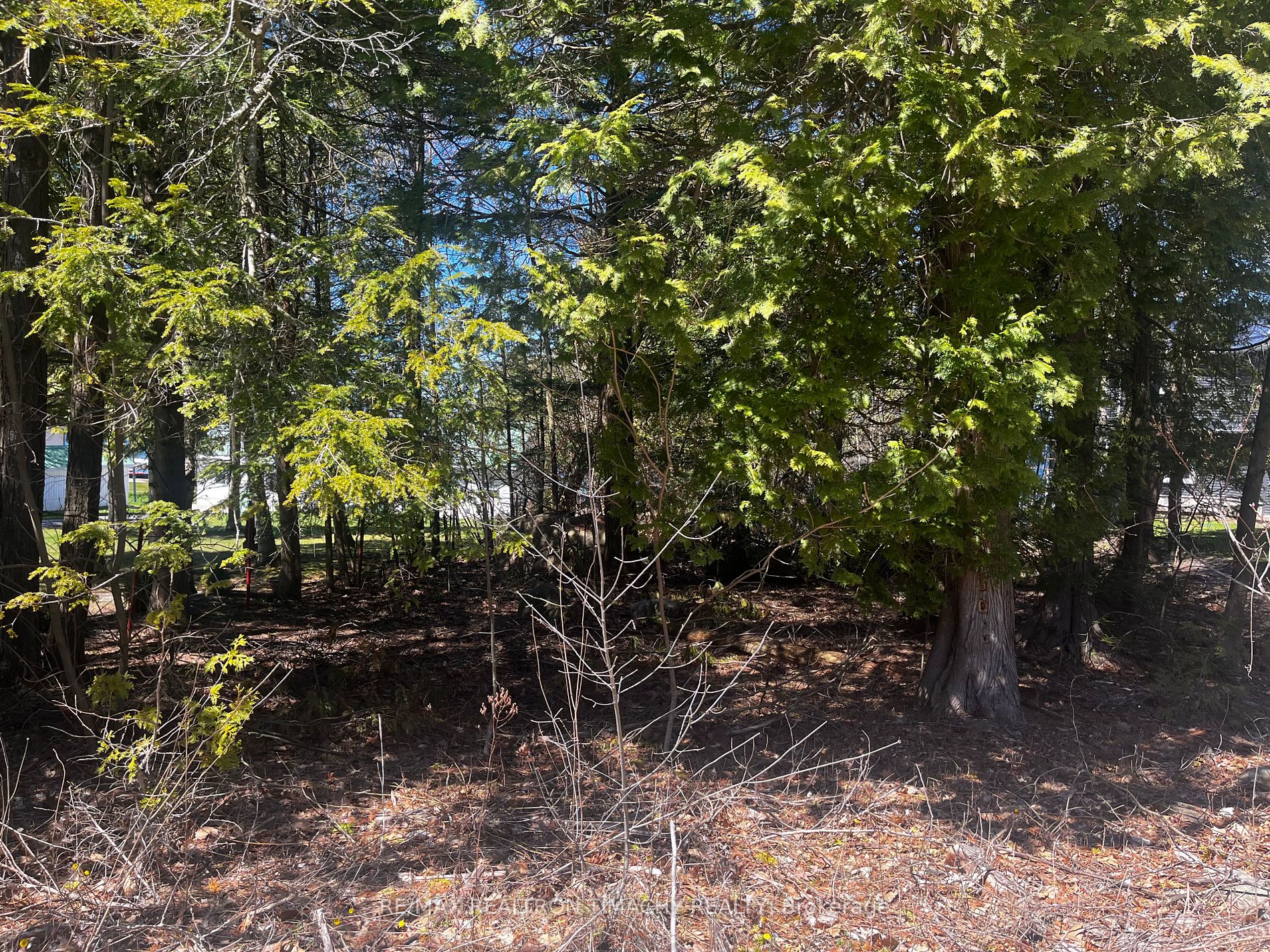 Lot 25 Champlain Road