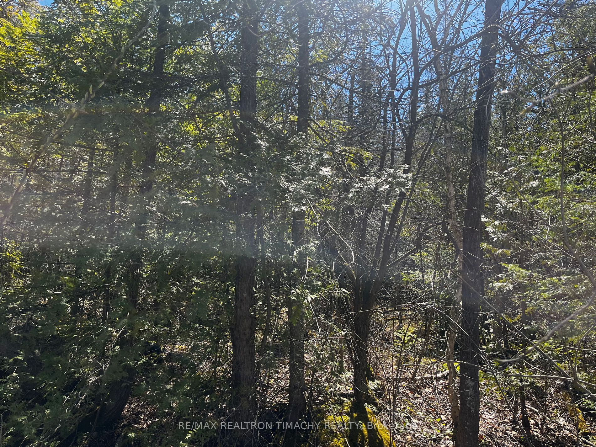 Lot 25 Champlain Road