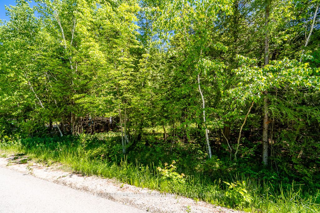 LOT 117 Iroquois Crescent